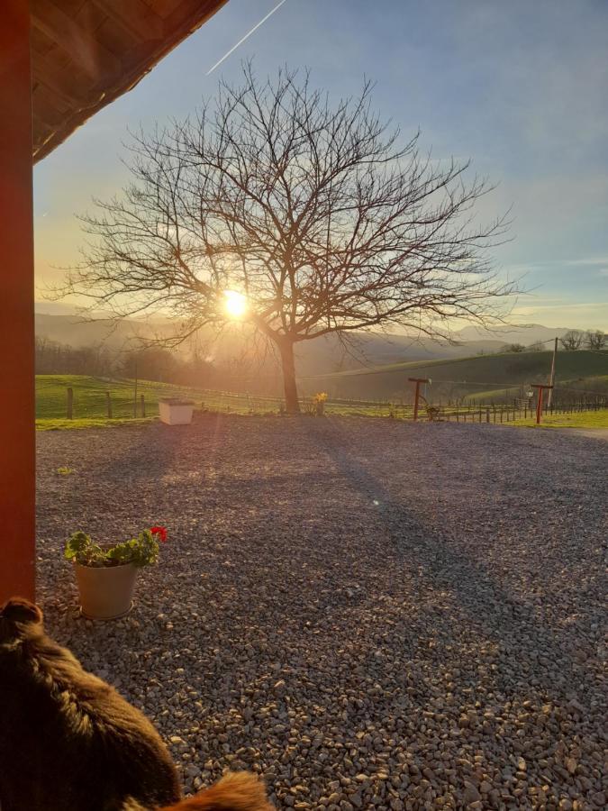 Gite A La Ferme Larranda Suhescun Esterno foto
