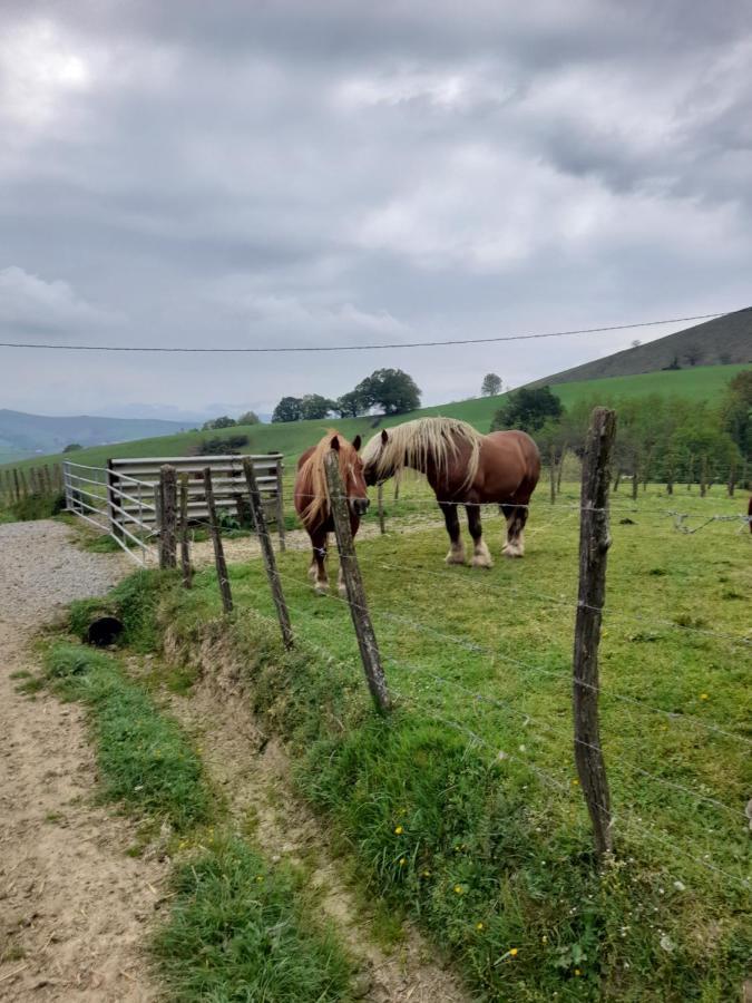 Gite A La Ferme Larranda Suhescun Esterno foto